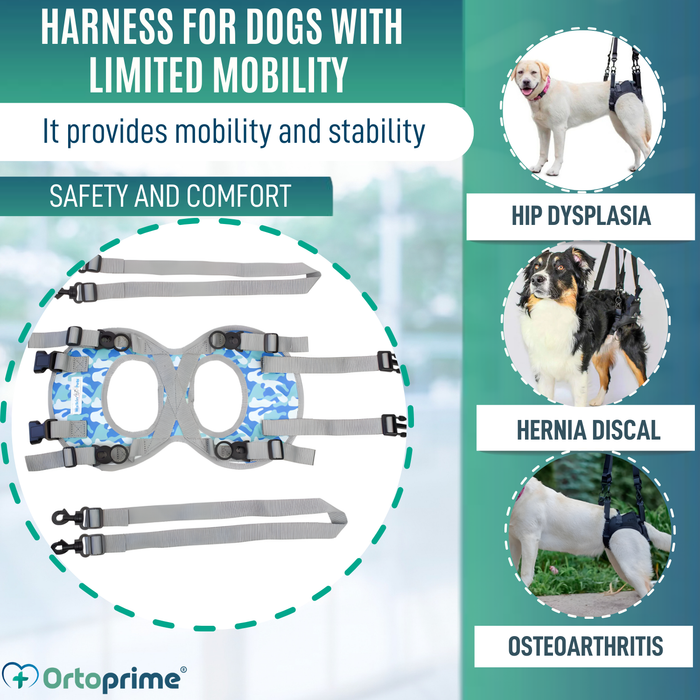 Dog Harness for Reduced Mobility in the Rear Legs