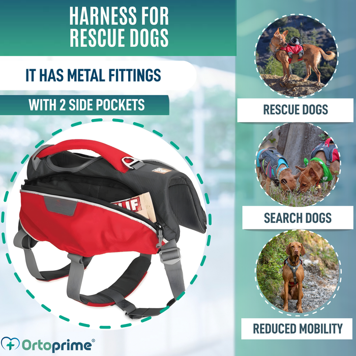 Search & Rescue Dog Harness | High Durability
