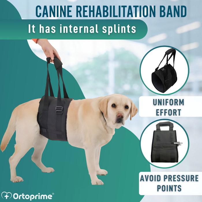 Support Sling for Dogs with Reduced Mobility | 5 Sizes