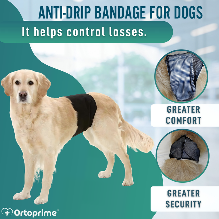 Anti-Leak Dog Diaper for Incontinence | Male Dog
