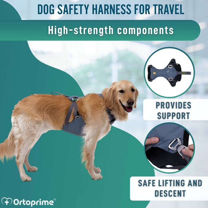 Dog Safety Harness for Transport | High Strength