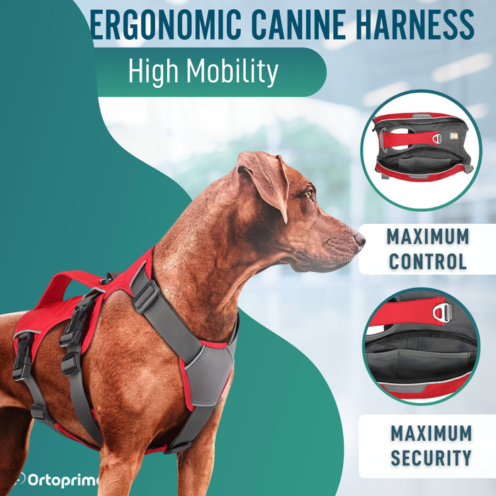 Search & Rescue Dog Harness | High Durability