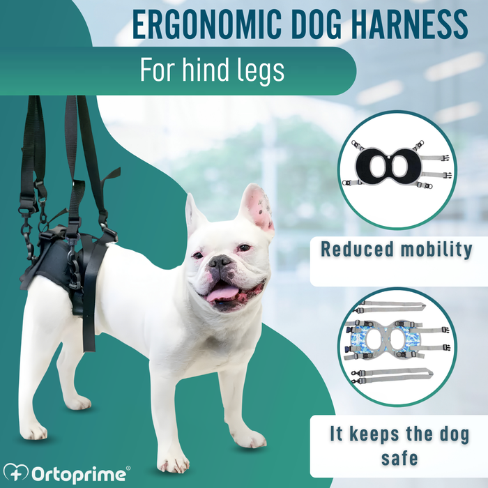 Dog Harness for Reduced Mobility in the Rear Legs
