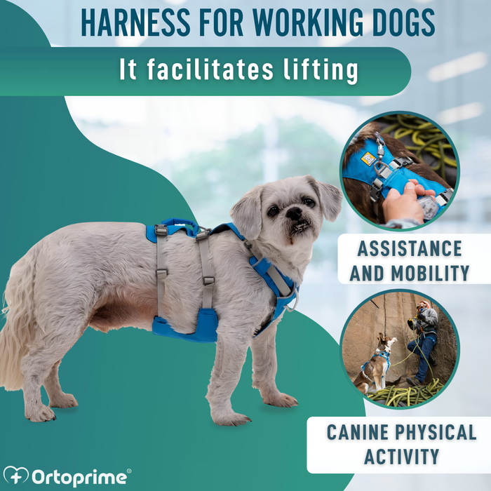 Multi-Purpose Dog Lifting Harness | Reinforced Structure