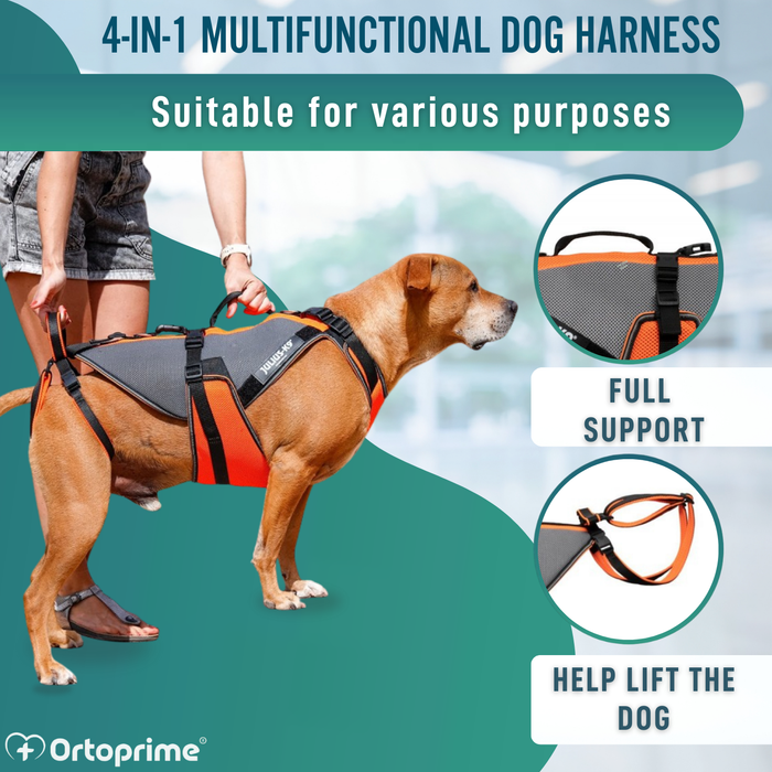 Complete Rehabilitation Harness for Dogs | 3D Material