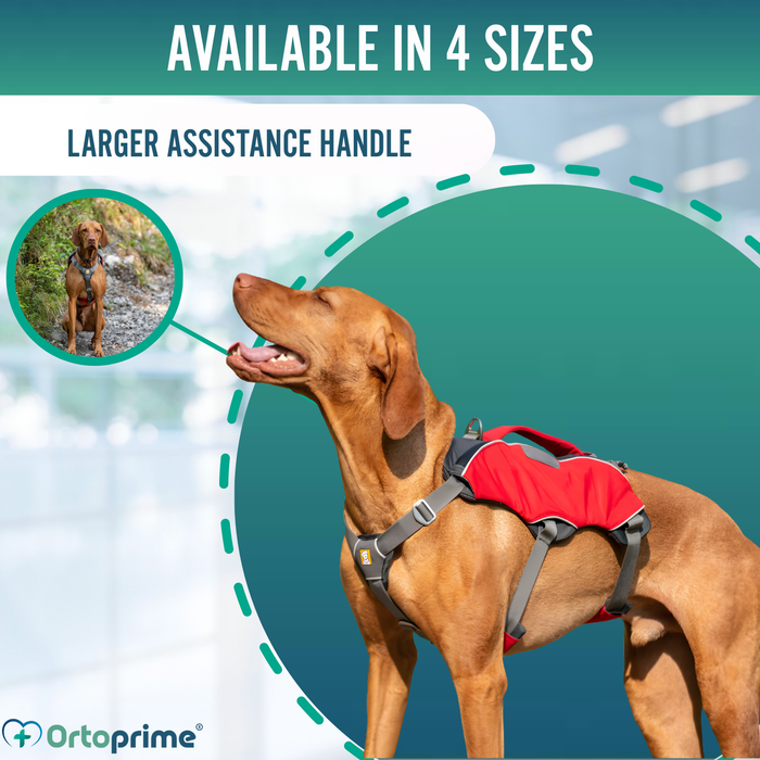 Search & Rescue Dog Harness | High Durability