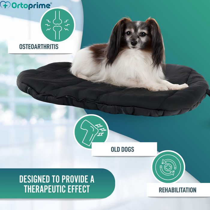Thermal Dog Bed for Arthritis | Therapeutic Fabric