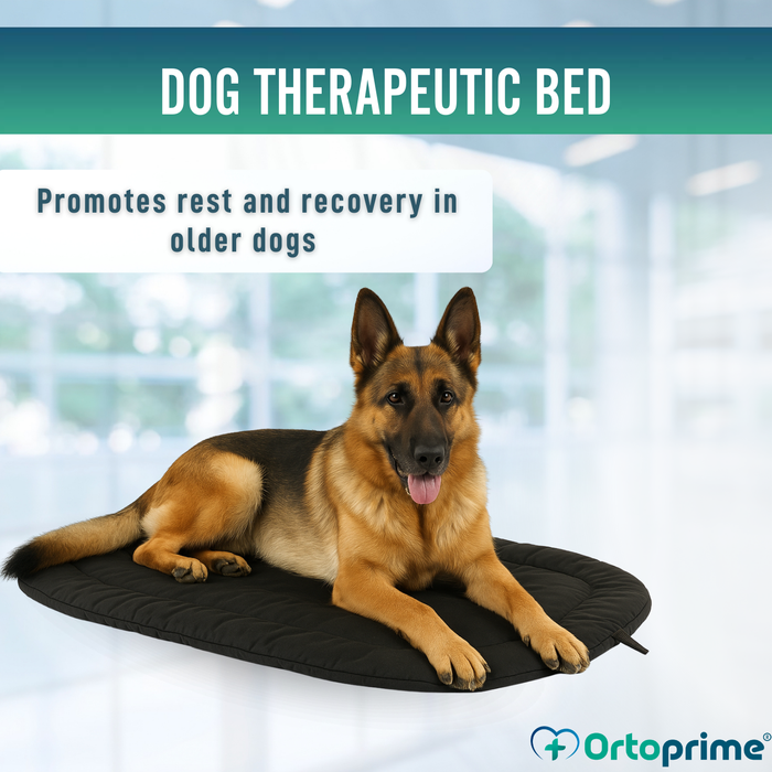 Thermal Dog Bed for Arthritis | Therapeutic Fabric