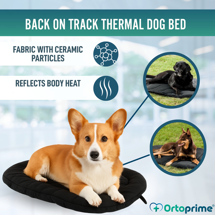 Thermal Dog Bed for Arthritis | Therapeutic Fabric