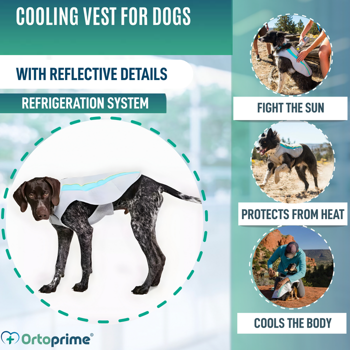 Summer Dog Vest | Evaporative Cooling