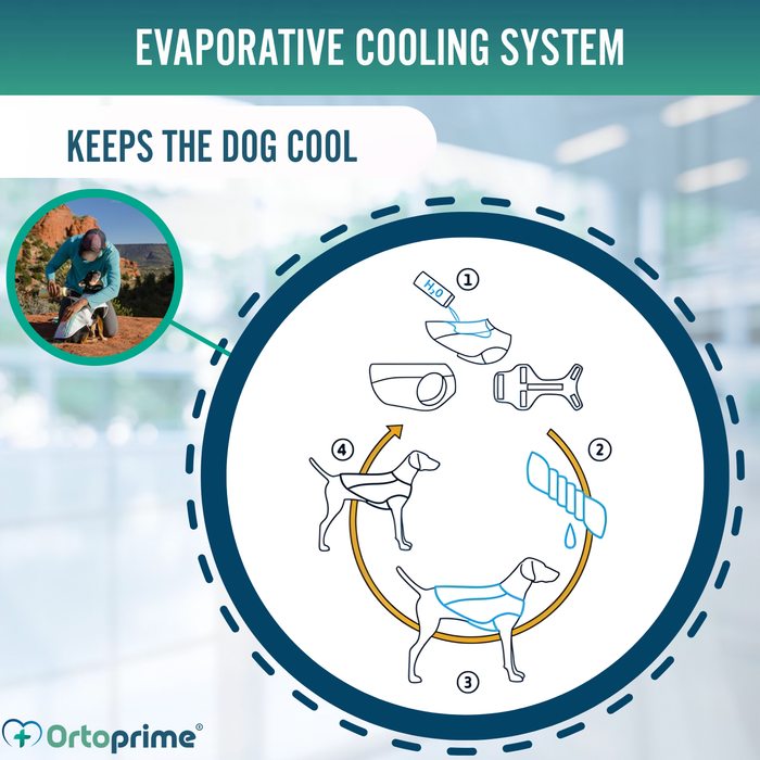 Summer Dog Vest | Evaporative Cooling