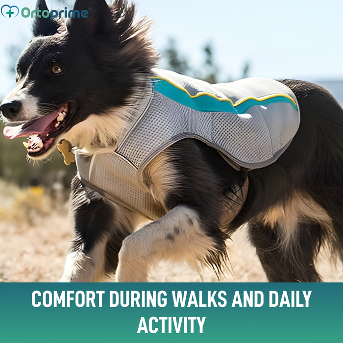 Summer Dog Vest | Evaporative Cooling