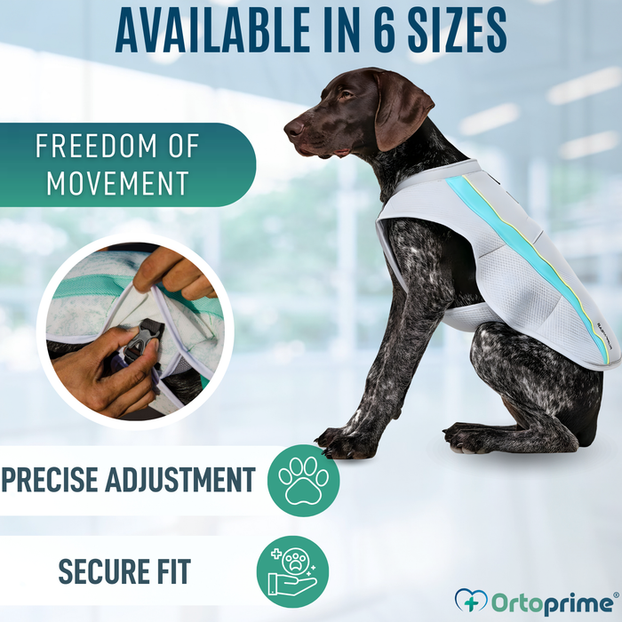 Summer Dog Vest | Evaporative Cooling