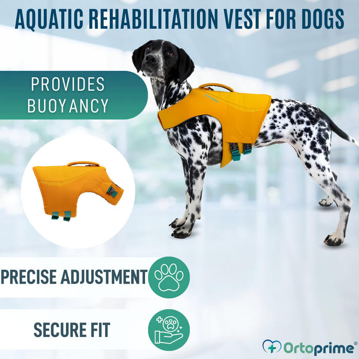 Reddingsvest voor Honden Multifunctioneel | Waterveiligheid