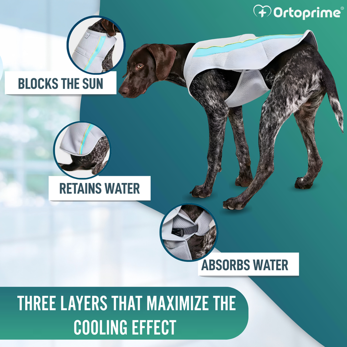 Summer Dog Vest | Evaporative Cooling