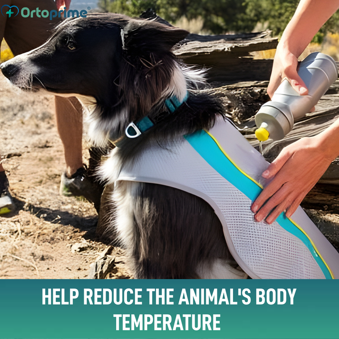 Summer Dog Vest | Evaporative Cooling