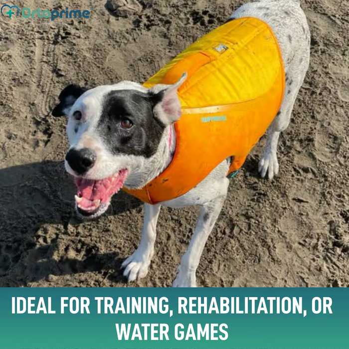 Reddingsvest voor Honden Multifunctioneel | Waterveiligheid