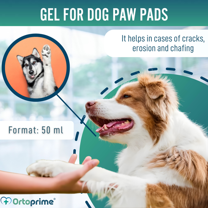 Dog Paw Pad Protector Gel | Aloe Vera 50 ml