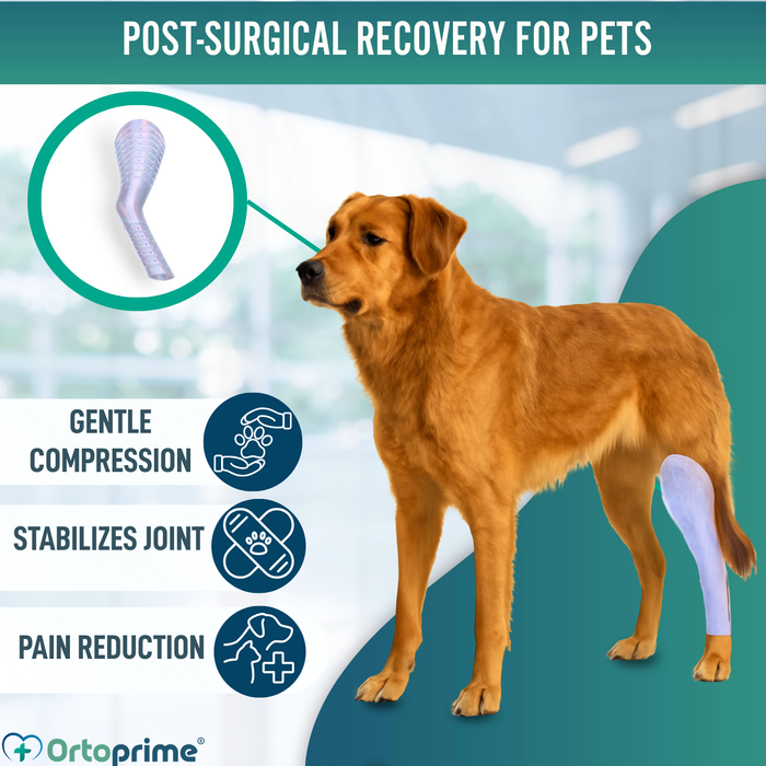 Quick Splint for Dogs and Cats’ Limbs | 3 Sizes