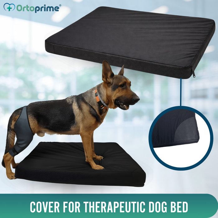 Waterproof Orthopaedic Dog Mattress Cover | 4 Sizes