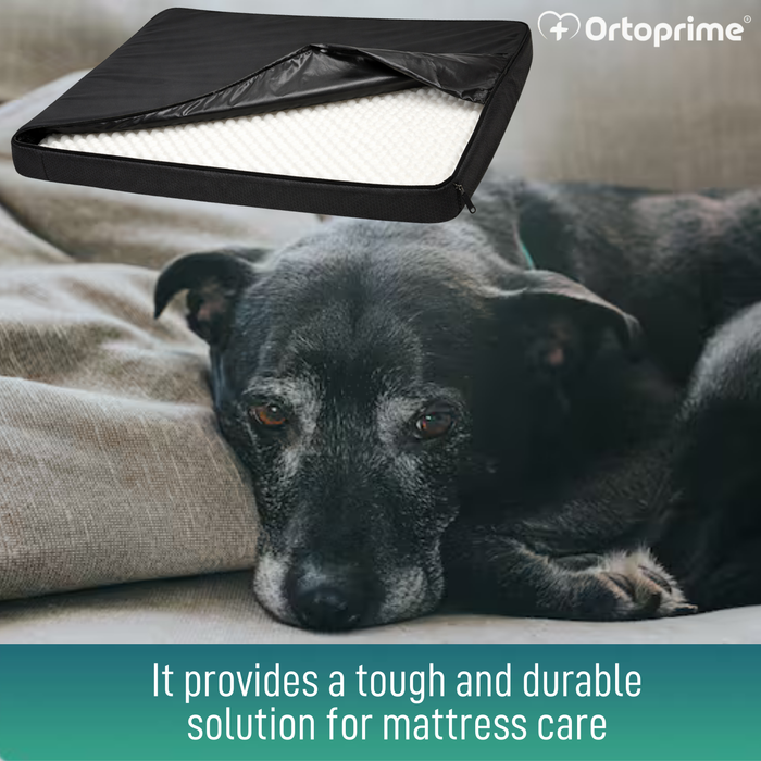 Waterproof Orthopaedic Dog Mattress Cover | 4 Sizes