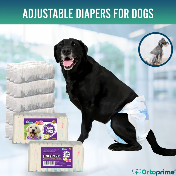 Dog Nappies for Females & Puppies | High Absorbency