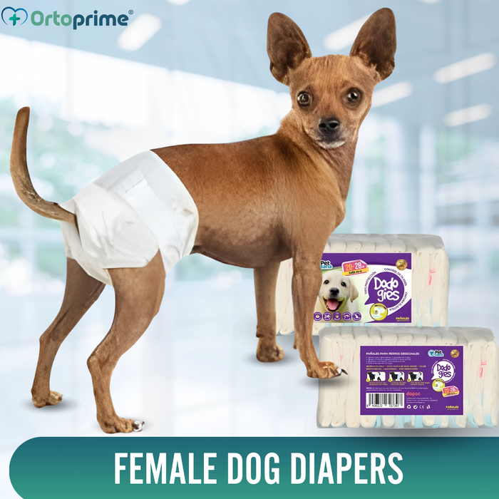 Dog Nappies for Females & Puppies | High Absorbency