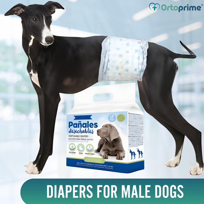 Ultra Absorbent Male Dog Diapers | Pack of 12