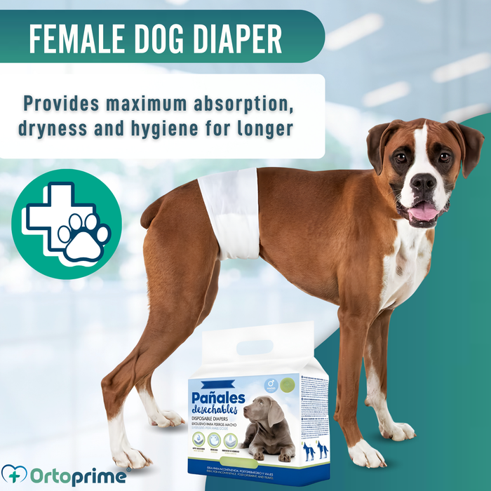 Ultra Absorbent Male Dog Diapers | Pack of 12