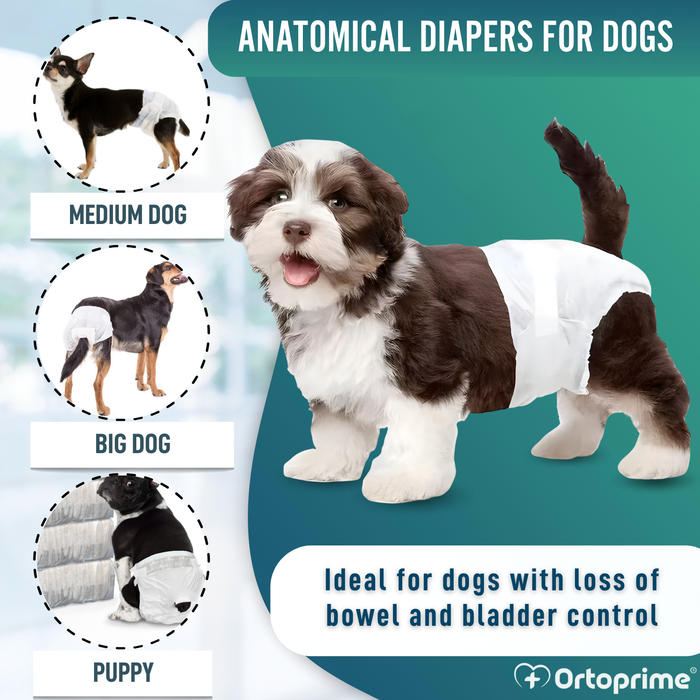 Dog Nappies for Females & Puppies | High Absorbency