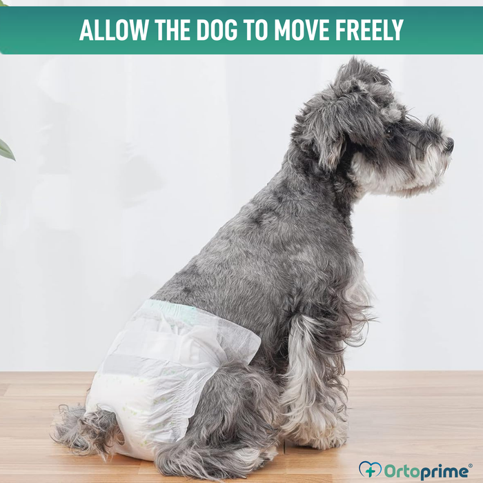 Dog Nappies for Females & Puppies | High Absorbency
