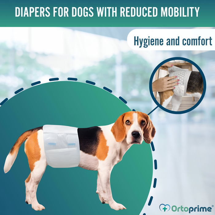 Ultra Absorbent Male Dog Diapers | Pack of 12