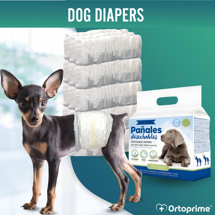 Ultra Absorbent Male Dog Diapers | Pack of 12