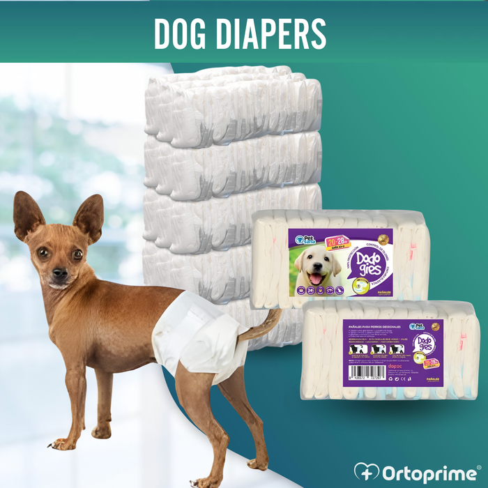 Dog Nappies for Females & Puppies | High Absorbency