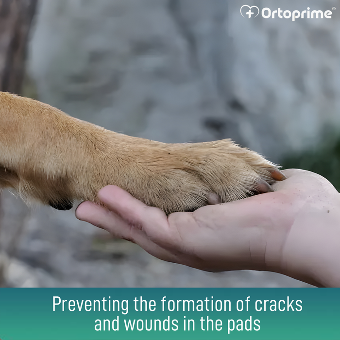Dog Paw Pad Protector Gel | Aloe Vera 50 ml