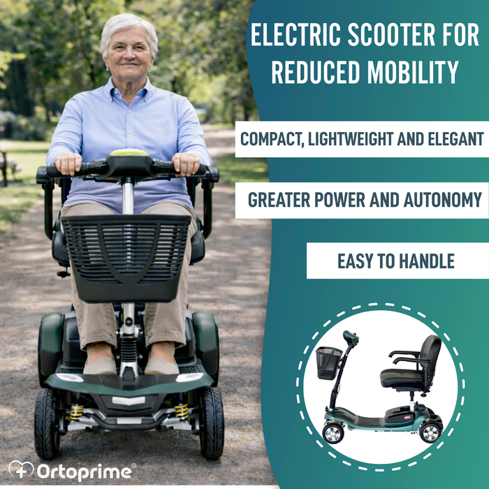 Demountable Electric Scooter | 40Ah Lithium Battery