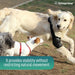 adjustable-canine-elbow-brace-for-injury-recovery-sizes-xs-to-xl-ortoprime-uk
