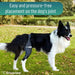 adjustable-dog-knee-brace-right-left-for-mobility-support-sizes-mini-to-xxl-ortoprime-uk