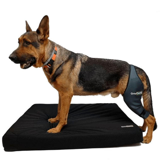 adjustable-dog-knee-brace-right-left-xmini-13-14cm-xxl-42-47cm-ortoprime-uk