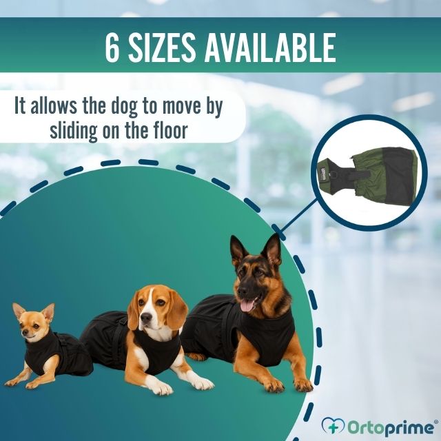 adjustable-dog-protective-coat-for-outdoor-comfort-sizes-xxs-xs-xs-s-s-m-l-ortoprime-uk