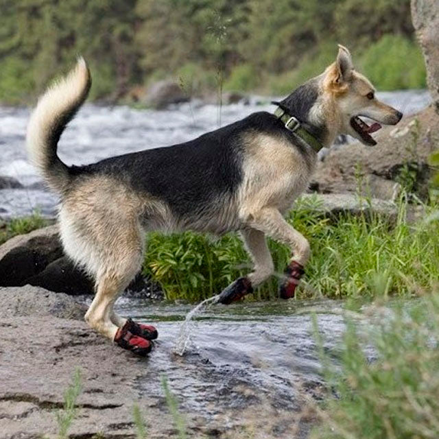 adjustable-non-slip-dog-shoes-with-flexible-sole-red-black-xxxs-less-than-3-8cm-to-xxl-7-7-to-8-3cm-ortoprime-uk