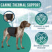 adjustable-thermal-dog-back-belt-for-mobility-and-comfort-sizes-s-m-l-ortoprime-uk