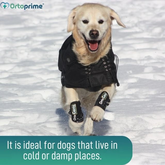 back-on-track-waterproof-thermal-jacket-for-dogs-all-sizes-21-to-85cm-ortoprime-uk