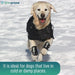 back-on-track-waterproof-thermal-jacket-for-dogs-all-sizes-21-to-85cm-ortoprime-uk