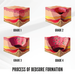 breathable-round-foam-cushion-ortoprime-uk