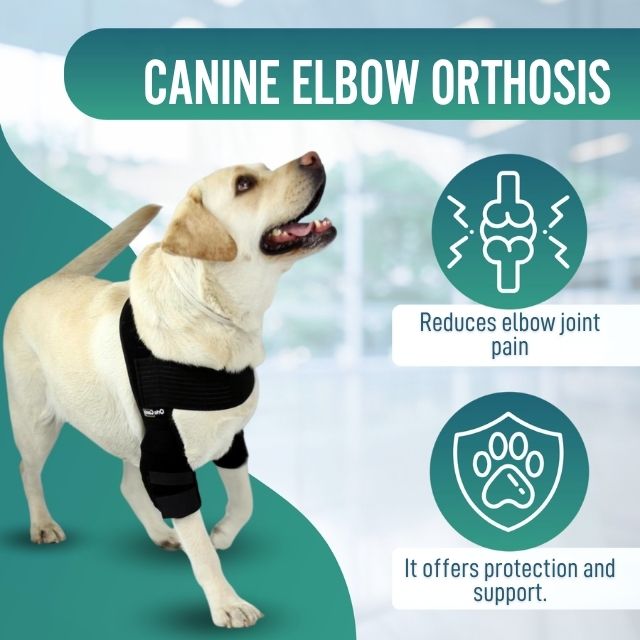 canine-elbow-orthosis-for-joint-stabilization-sizes-xs-s-m-l-xl-ortoprime-uk