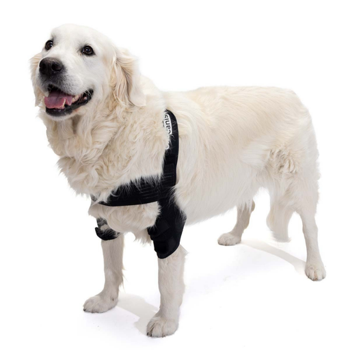 canine-elbow-support-brace-joint-stabilizer-xs-s-m-l-xl-ortoprime-uk
