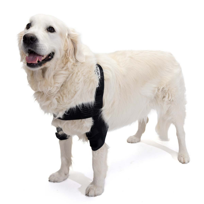 canine-elbow-support-brace-joint-stabilizer-xs-s-m-l-xl-ortoprime-uk