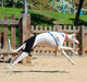 canine-hip-support-harness-for-dogs-xxs-33-45cm-to-l-69-96cm-ortoprime-uk