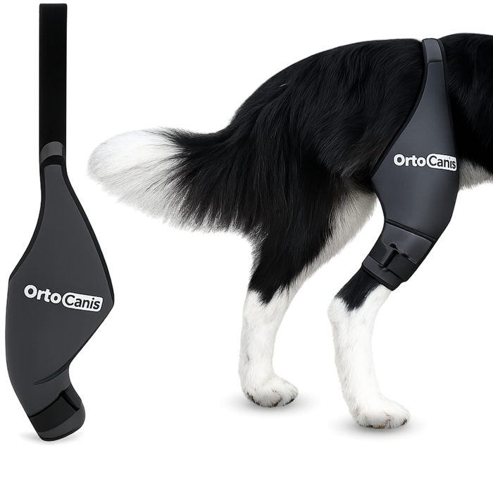 canine-knee-brace-right-left-neoprene-support-sizes-mini-to-xxl-ortoprime-uk